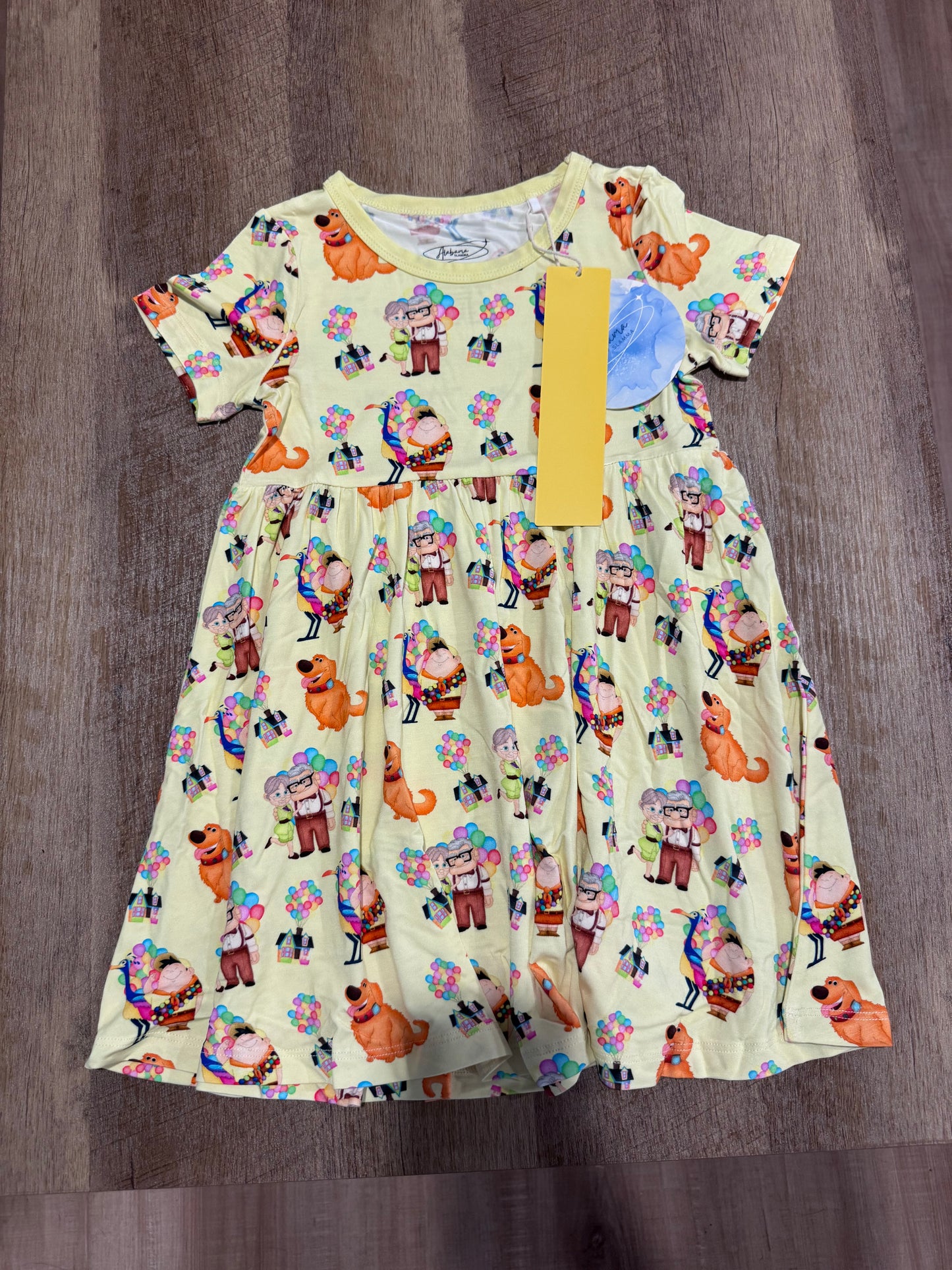 Adventure Is Out There (UP) Twirl Dress