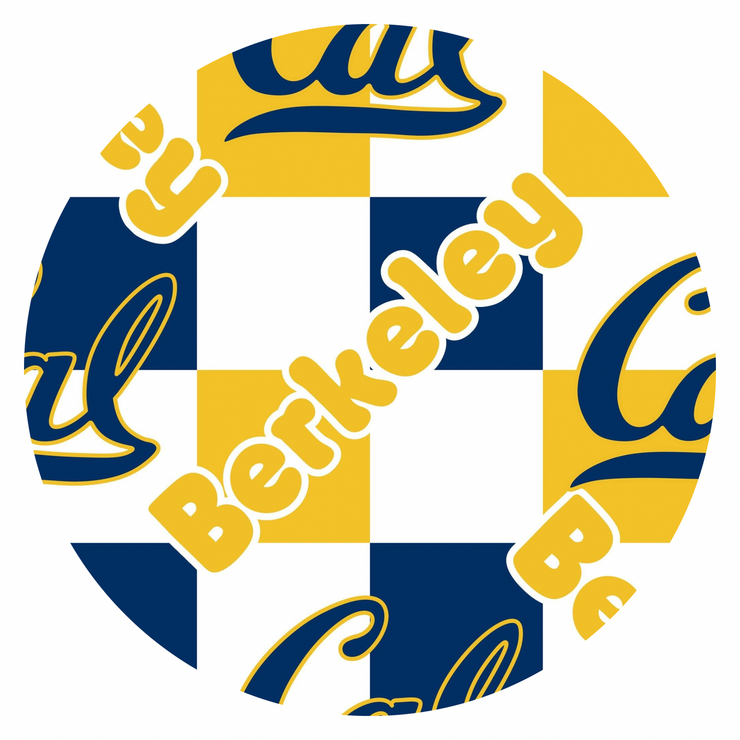 Berkeley Checkered Zippy